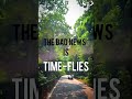 Time flies But you are the Pilot  #vlog #automobile #4k