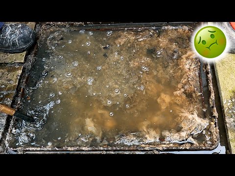 Dave the Drain