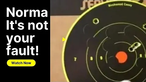 6.5 PRC Norma ammunition. Let's have another look!