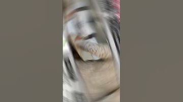 Basic Science & Engineering The Smart Book