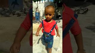 Download lagu My son A R Arif Nizamuddin Dargah My son A R Arif Nizamuddin Dargah