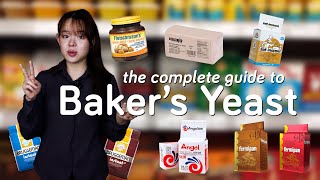 Don't Proof Your Instant Yeast, GMOs, and More | The Science of Baker's Yeast