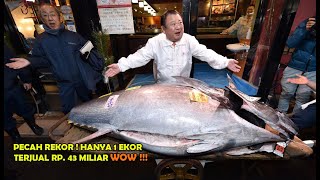 Kenapa Harga Daging Ikan Ini Paling Mahal, Tapi Diminati ! Temukan Jawabannya Dalam Video ini