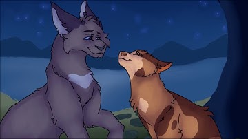 Me, You and Mothwing | 10 |