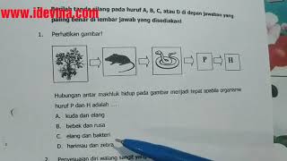 Pembahasan soal usbn ipa sd 2019 (1-5 ...