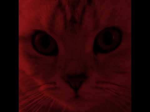 Максим в прямом эфире! - YouTube