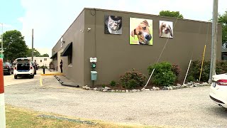Norfolk SPCA hopes Clear the Shelters attracts potential pet owners
