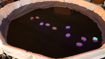 TYOC#34/52: Relay Chain Basics