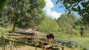 Build Bamboo House for Goat, Goat Born 2025, mountains life
