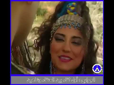 الجوارح اول لقاء بين شاهين والعنقاء