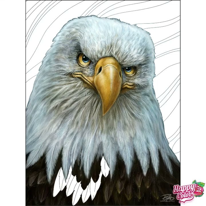 Happy color app eagle the charmers club part 8 color by numbers