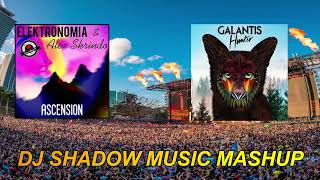 Ascension & Hunter (DJ Shadow Music Mashup) I Alex Skrindo , Elektronomia , Galantis