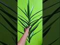 Can You tell me which plant this is?#plantlovers #gardenplants #shorts