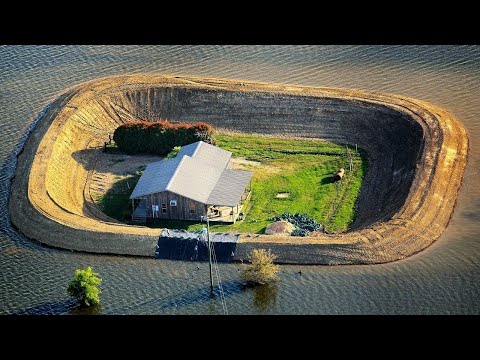 Видео: Может ли Лил Уэйн спасти приливно? С надеждой! Потому что он просто стал совладельцем