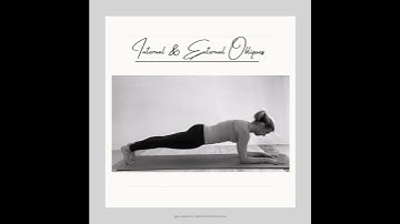 Internal and external obliques