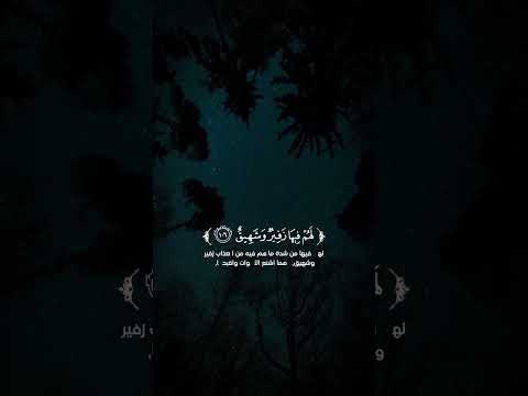 يوم يأت لا تكلم نفس إلا بإذنه تلاوة من سورة هود قرآن كريم القارئ عمر لدريويز 