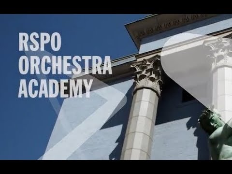 RSPO Orchestra Academy / Stockholm / Apply for 2018–19