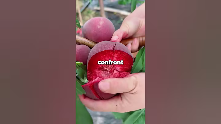 "At pickup, another parent asked 'Isn't it weird your nanny drives a more expensive car than you?'”