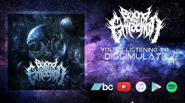 BEYOND THE EXTRACTION | DISSIMULATE