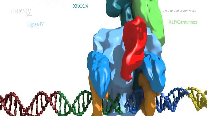 DNA editing could help cure diseases