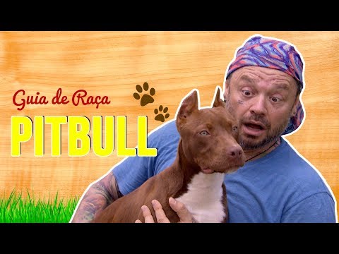 GUIA DE RAÇA PITBULL | RICHARD RASMUSSEN