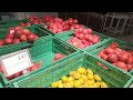 YouTube MY DAY Война в Украине Киев сегодня цены на продукты в супермаркет