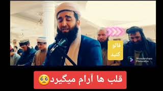 تلاوت زیبا مولانا احمد فیروز احمدی سبسکرایب کنید❤️🤩#subcribe