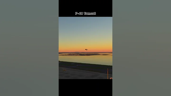 F-14 Tomcat Soars! Supersonic Fighter Jet in Action! #aviation #fighterjet #shorts