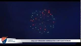 Шар 2,5 PKS2580 VARIEGATED CHRYSANTHEMUM