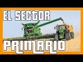 🚜 ¿Qué es el Sector PRIMARIO? 🚜 Explicación