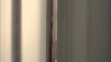 transition flow 0.7L/min (Reynolds Experiment)