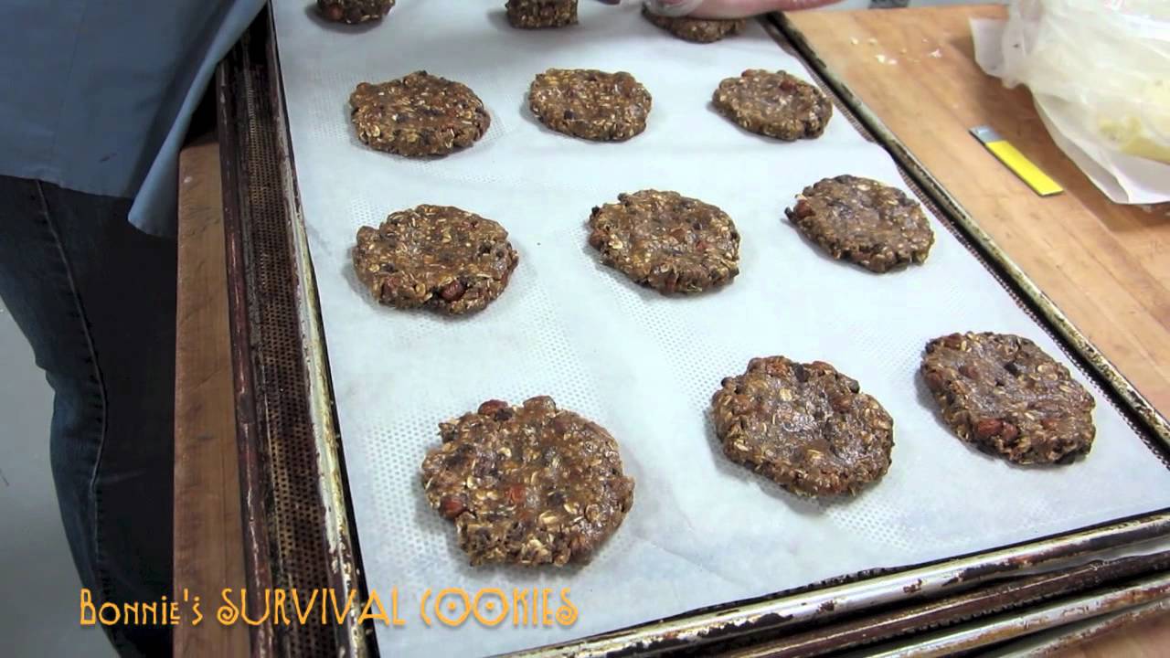 Survival Cookies WSU Video 201213 YouTube