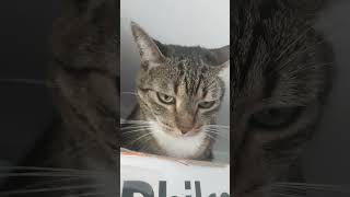 21 de janeiro de 2026