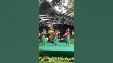 Tari khas jawa barat 😍 #jawabarat #jaipong