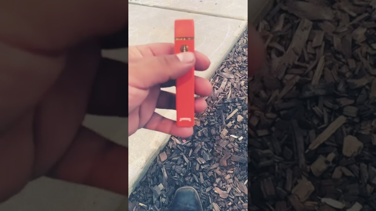 Dabwoods watermelon Z