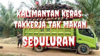 Story wa ||Kalimantan keras Takkerja tak makan