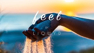LiQWYD - Feel