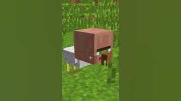 Bro is everywhere #minecraft #meme #funny