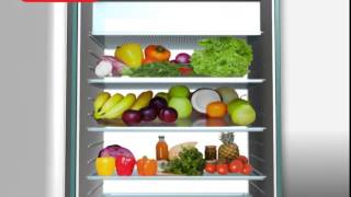 Singer - Sisil Refrigerator Dummy Tvc