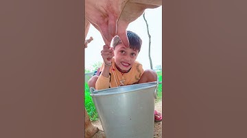 Thumbnail of choti choti gsiya hfhx #love #song #funny