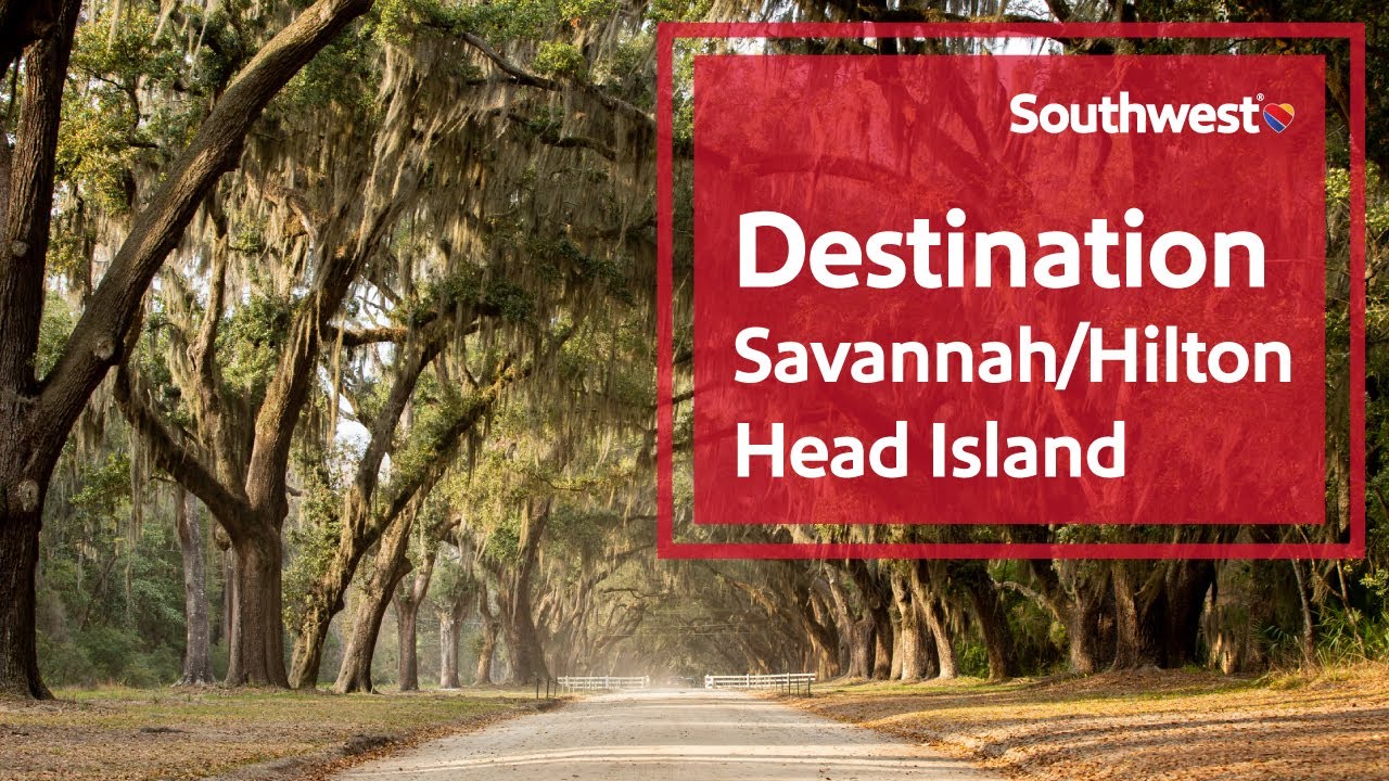 travel savannah to hilton head