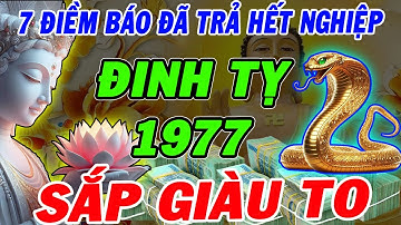 Tuổi ĐINH TỴ 1977 : chỉ cần có 3 trong 7 Dấu Hiệu Này – duyên nghiệp trả hết - Tài Lộc BÙNG NỔ!