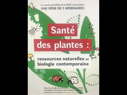 Vidéo: Mandrake Cold Tolerance : Conseils pour cultiver des plantes de mandragore en hiver