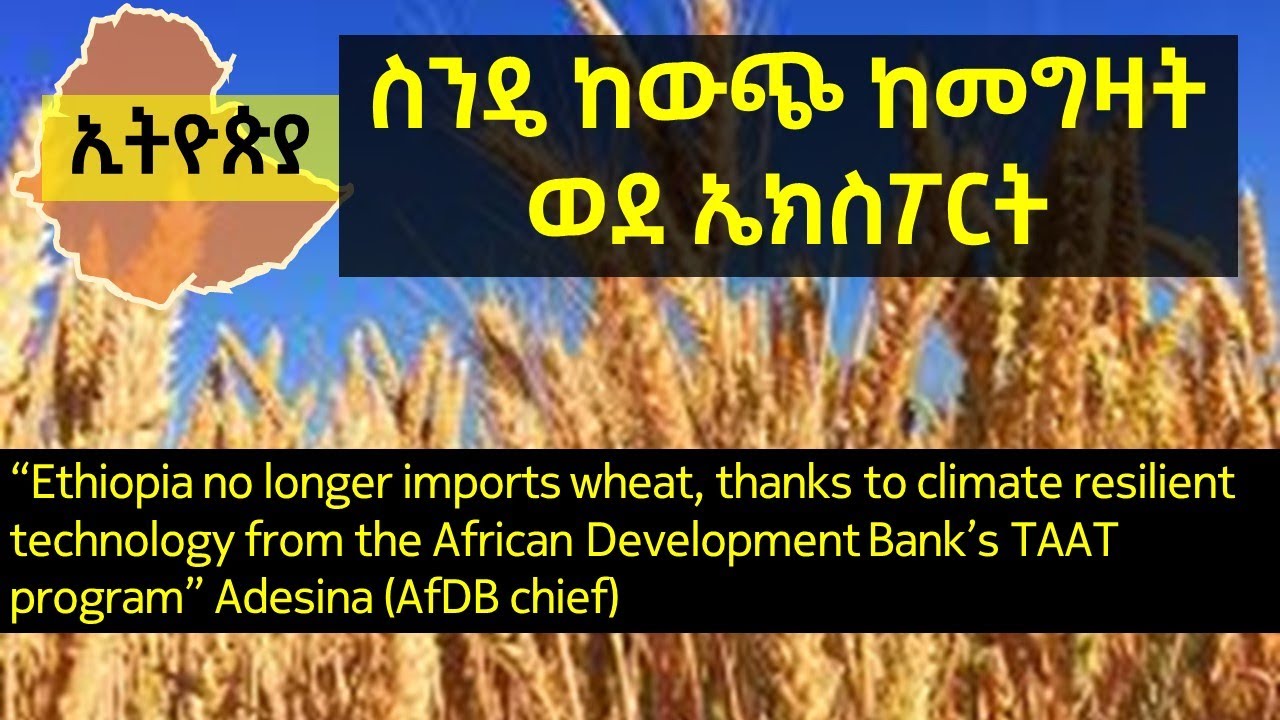 ኢትዮጵያ ስንዴ ከመግዛት ወደ መሸጥ Ethiopia from importing wheat to exporting 