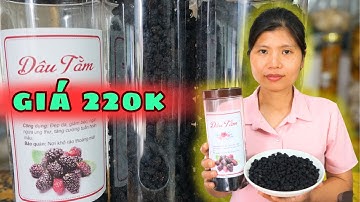 Dâu Tằm Khô Giá Bao Nhiêu - Cách Dùng Như Nào?