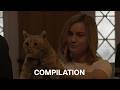 Animals of The MCU | Compilation