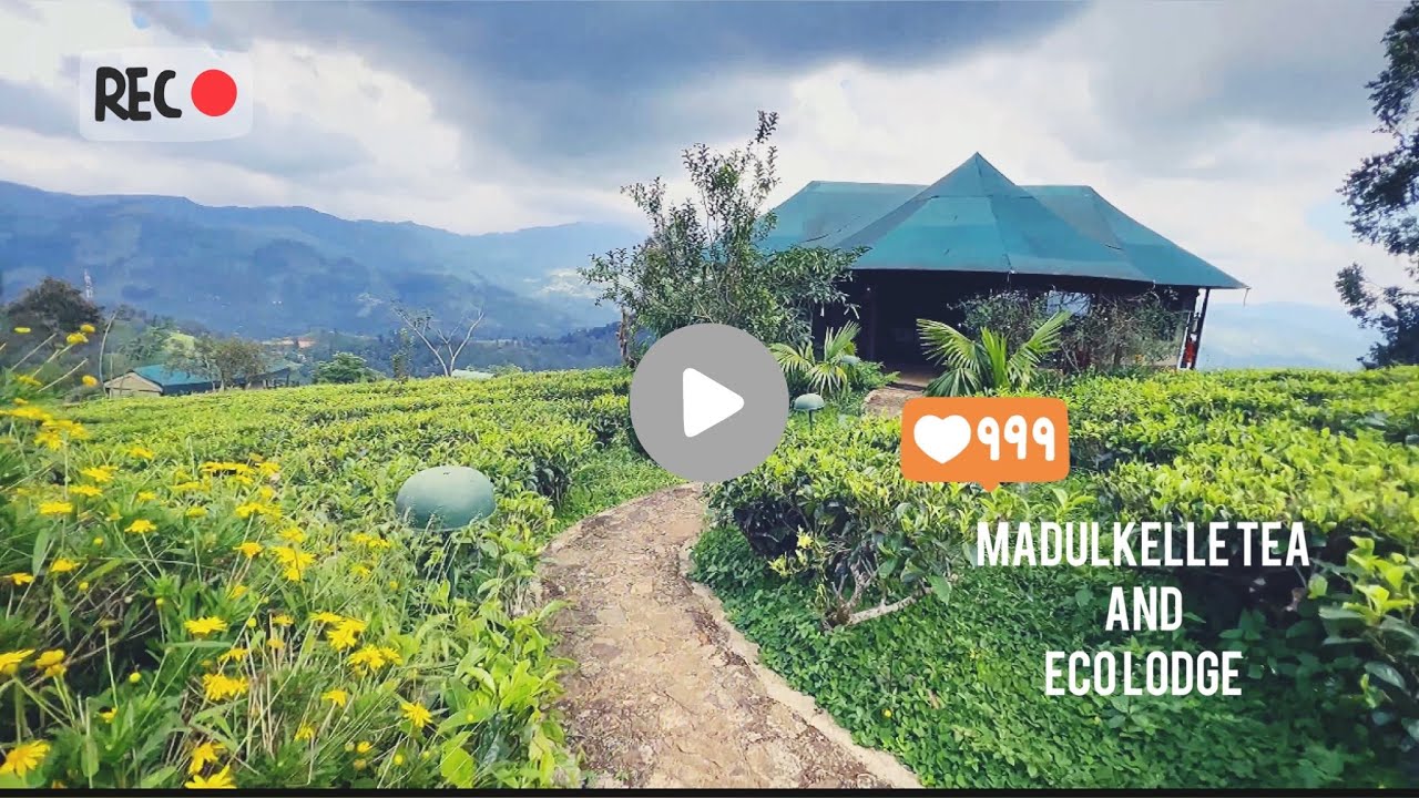 Madulkelle Tea & Eco Lodge | Week end getaway