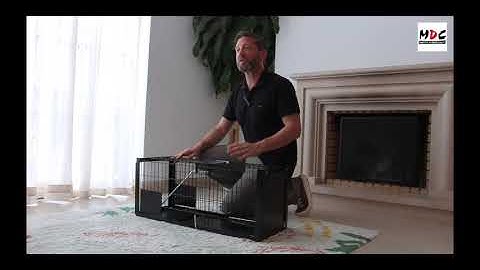 MDC EeziSet Cat Trap