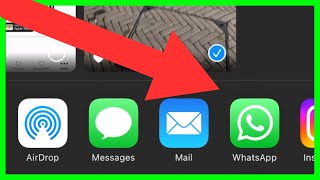 How to Send Live Photos on WhatsApp (NEW UPDATE in 2023)
