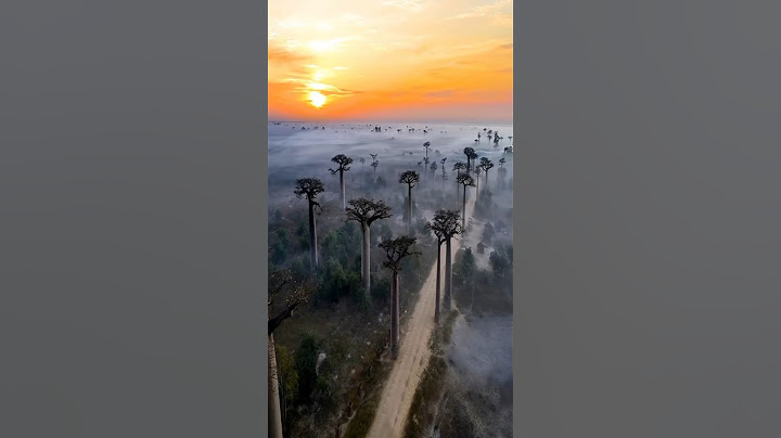 Places in Madagascar that don’t feel real 🤯 #travel #adventure #explore #nature #madagascar